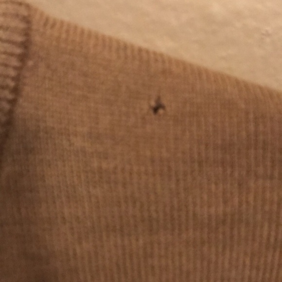 NWT brandini sweater - Picture 7 of 7